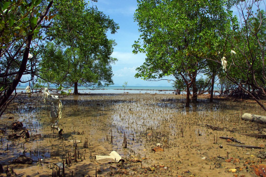 lumorgenstern-koh-yao-noi7