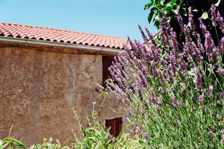 Slowenien - altes Haus in Stanjel