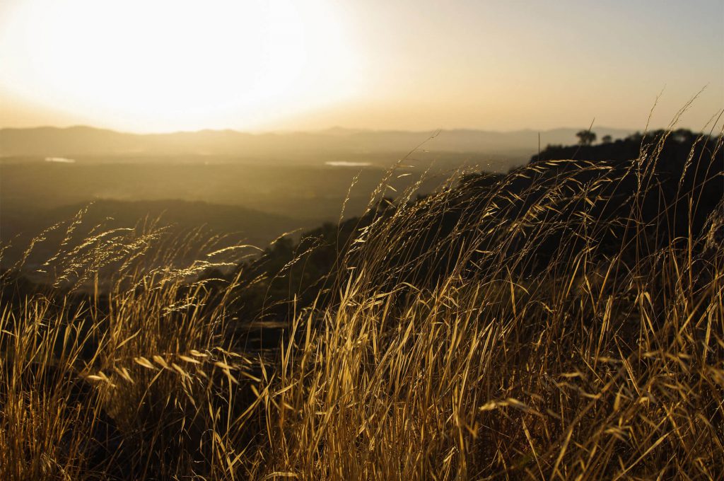 Roadtrip durch Spanien - Extremadura