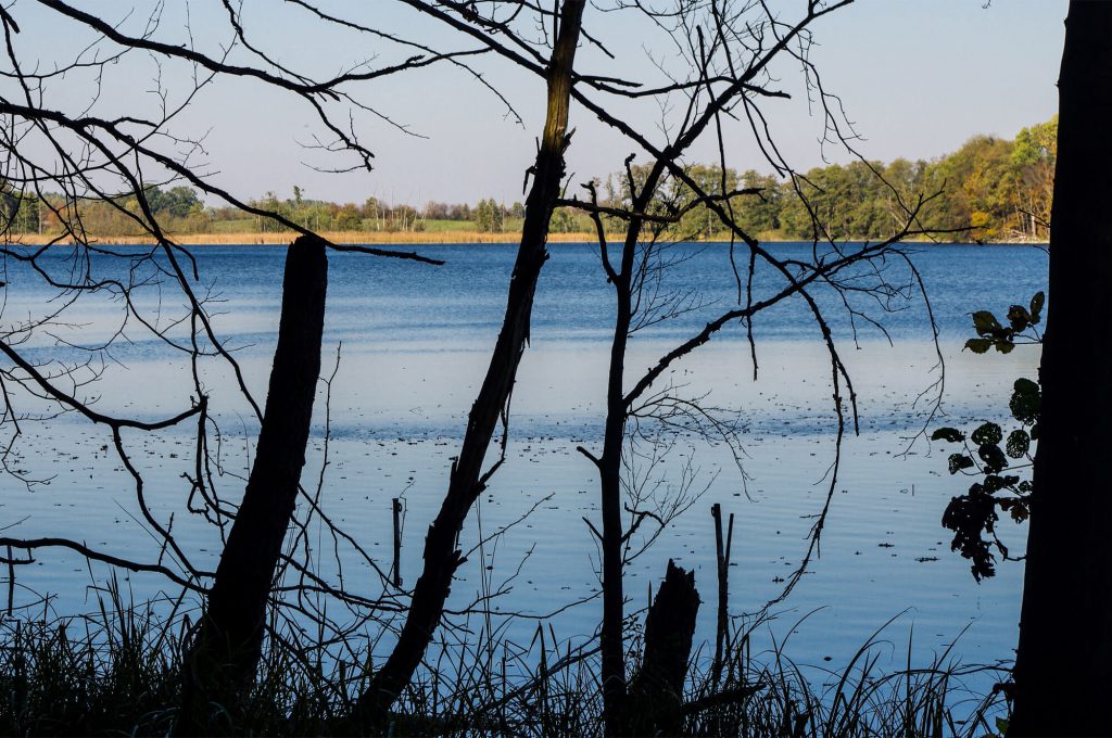 Brodowinsee in Brodowin in Brandenburg