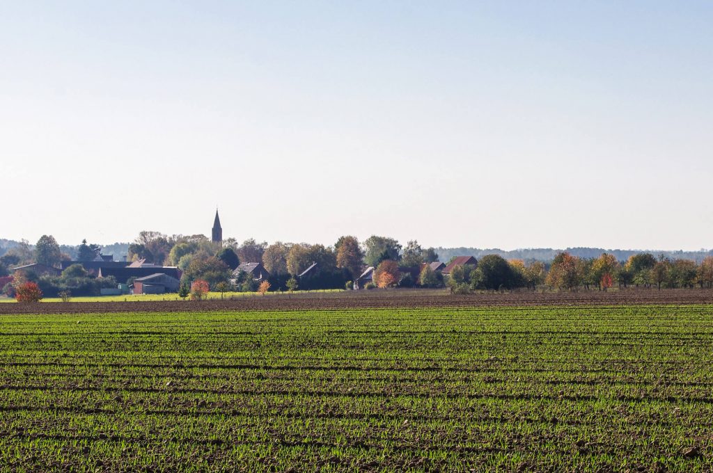 Blick vom Feld auf das Ökodorf Brodowin in Brandenburg