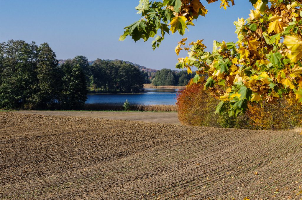 Brodowinsee in Brodowin in Brandenburg