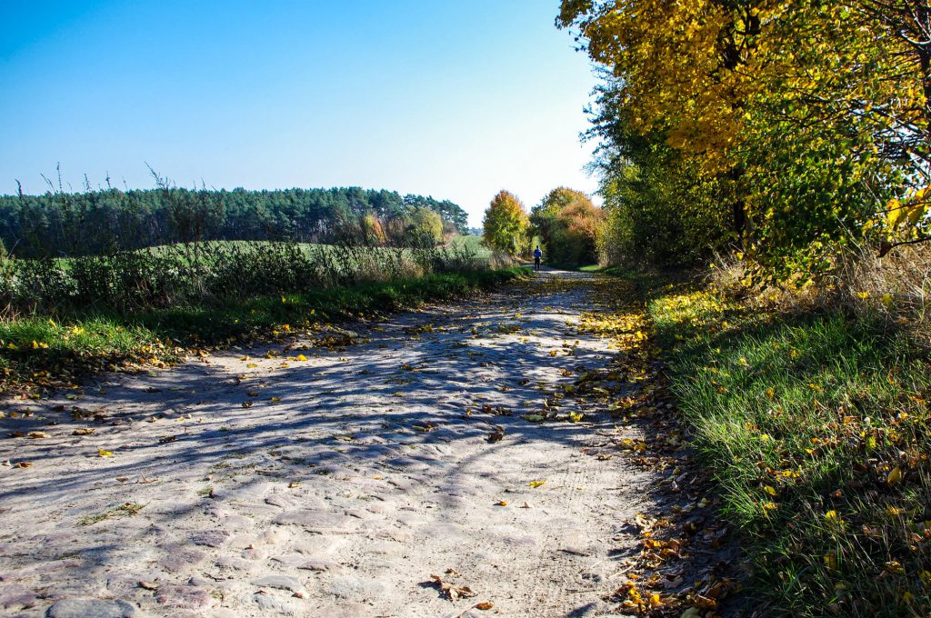 Wanderweg in Brodowin in Brandenburg