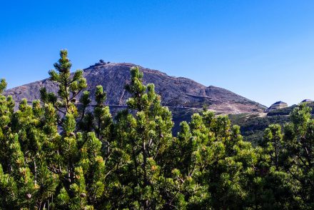 Wandern im Riesengebirge - Blick auf die Schneekoppe