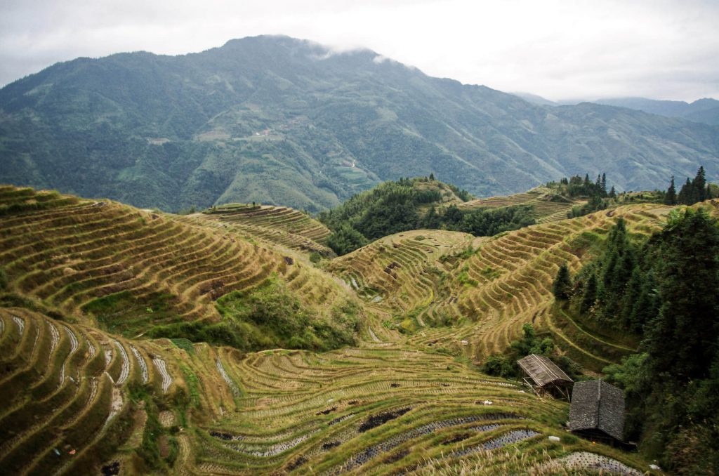 Blick auf die Longsheng Reisterrassen