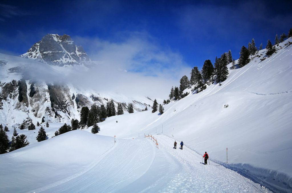 Schneeschuhwandern im Bregenzerwald