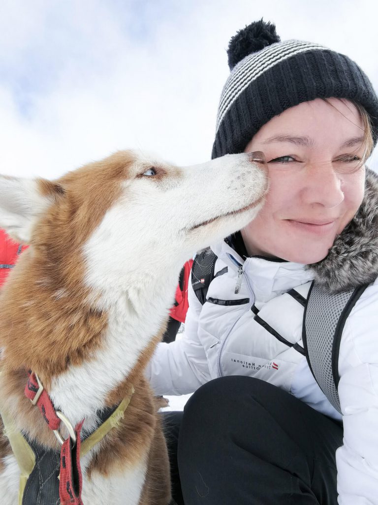 Huskies in Warth-Schröcken