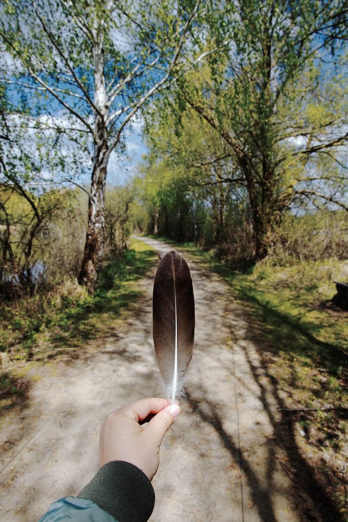 Vogelfeder gefunden bei einer Wanderung entlang der Havel bei Zehdenick