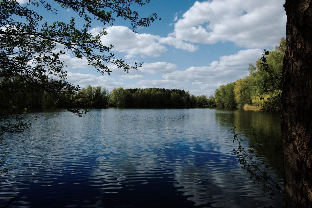 Tonstich bei Zehdenick