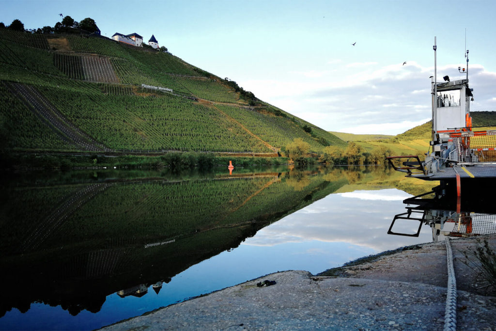 Am Moselufer in Pünderich - Blick auf Weinberge und die Marienburg