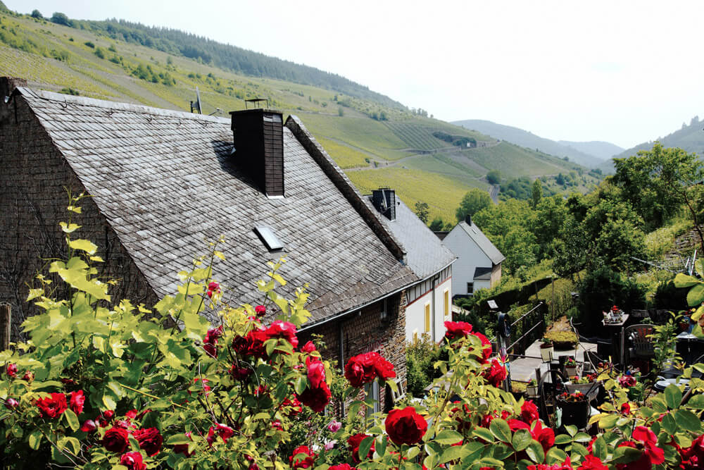 Urlaub an der Mosel: Ausflug nach Enkirch