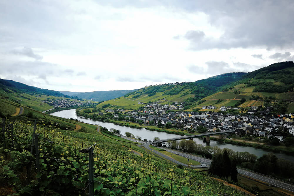 Urlaub an der Mosel: Wandern rund um Pünderich