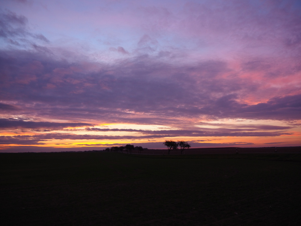 Lila Himmel Sonnenaufgang Brandenburg